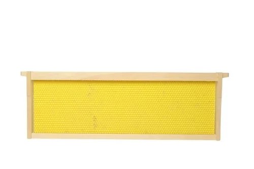 Assembled Medium Frame w/ Foundation