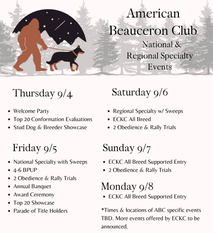 NS-Flyer.png