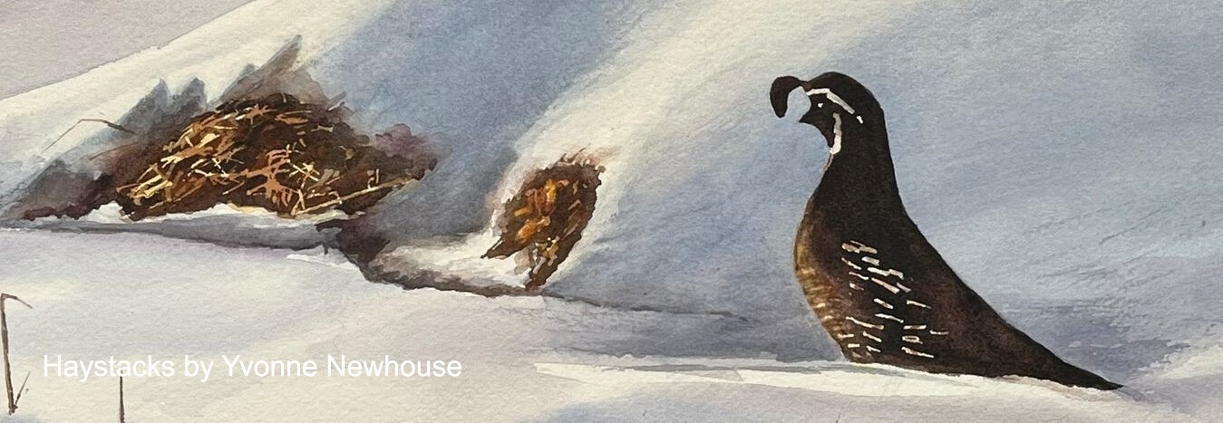 Member_-_Newhouse_Y_QuailInTheHaystack_cropped_titled_.JPG