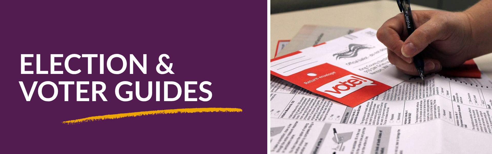 Election_Voter_Guides_Header.png