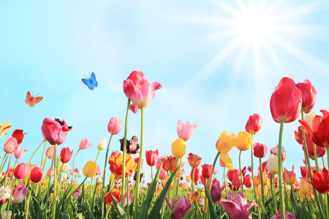 Spring
