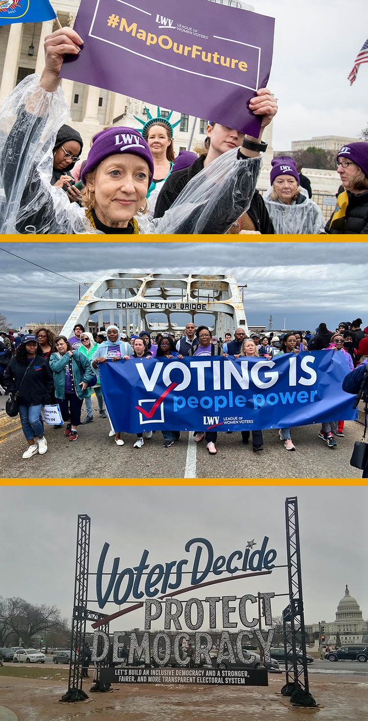 Voting_Montage_2.png