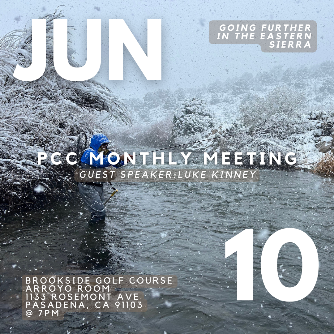 PCC_JUNE_2026.png