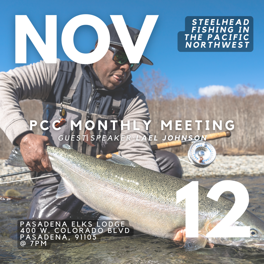 PCC_NOV_2025.png