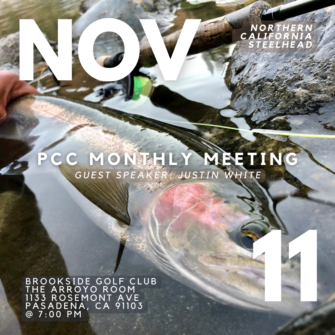 PCC_NOV_2026.png