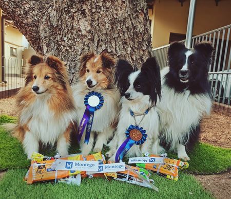 Svenjas Fluffies