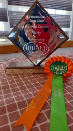 Hotel Uhland sponsored trpohies