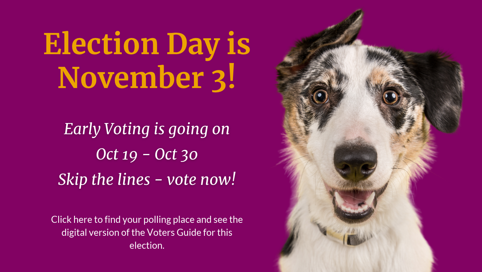 Vote Early