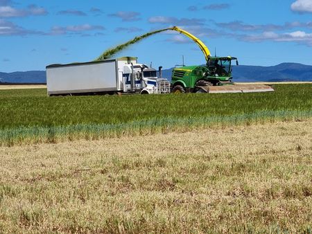 2025 Downs Burnett Cycle