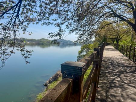 Bike Path Lake