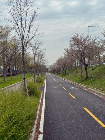 Bike Path 4