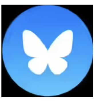 Bluesky logo white butterfly on blue background