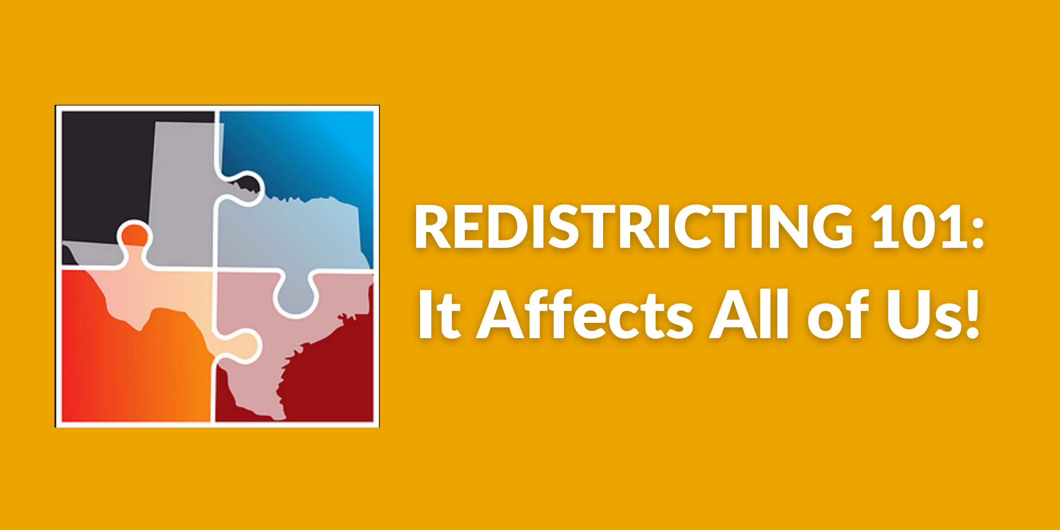 REDISTRICTING 101