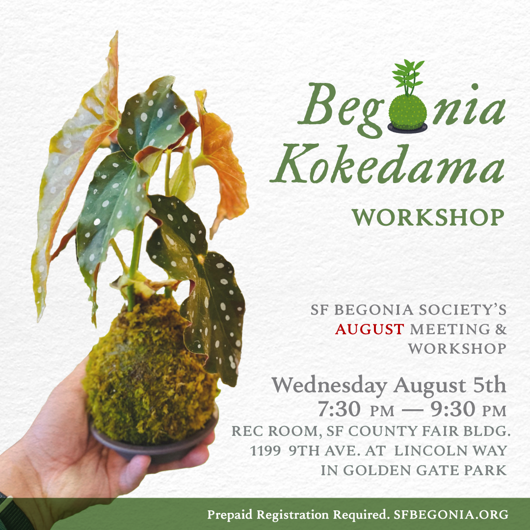 08_August_KOKEDAMA_Layout_Square2.PNG