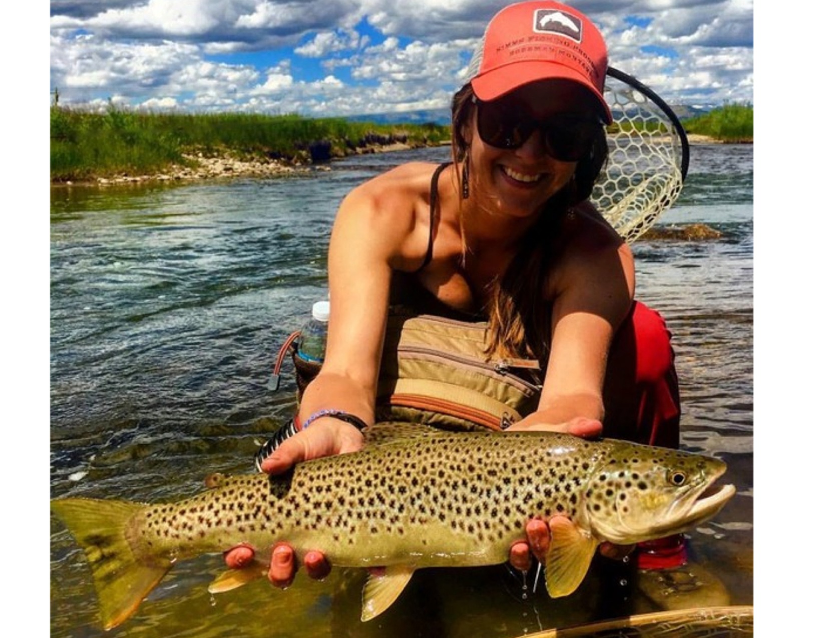 Big Brown from South Park Basin
