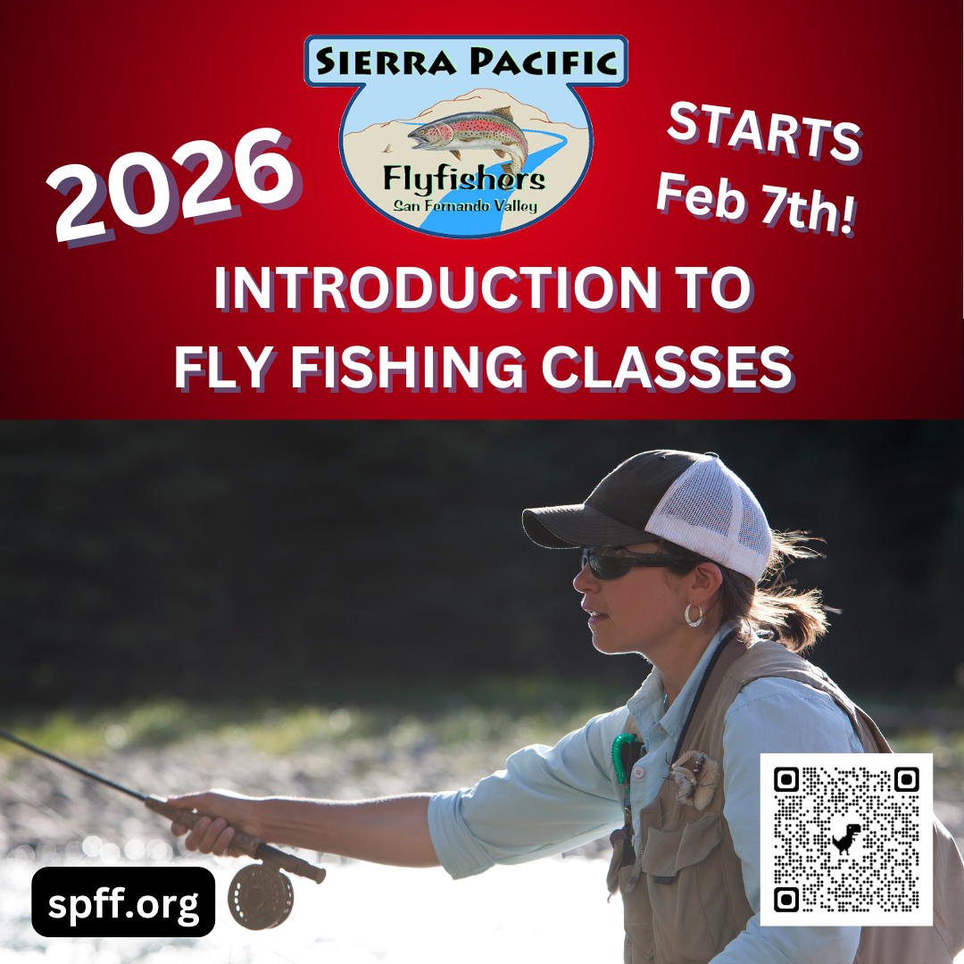 Ad young woman casting