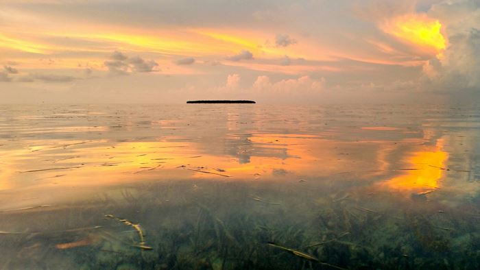 Florida Keys Sunset sandfly Kay