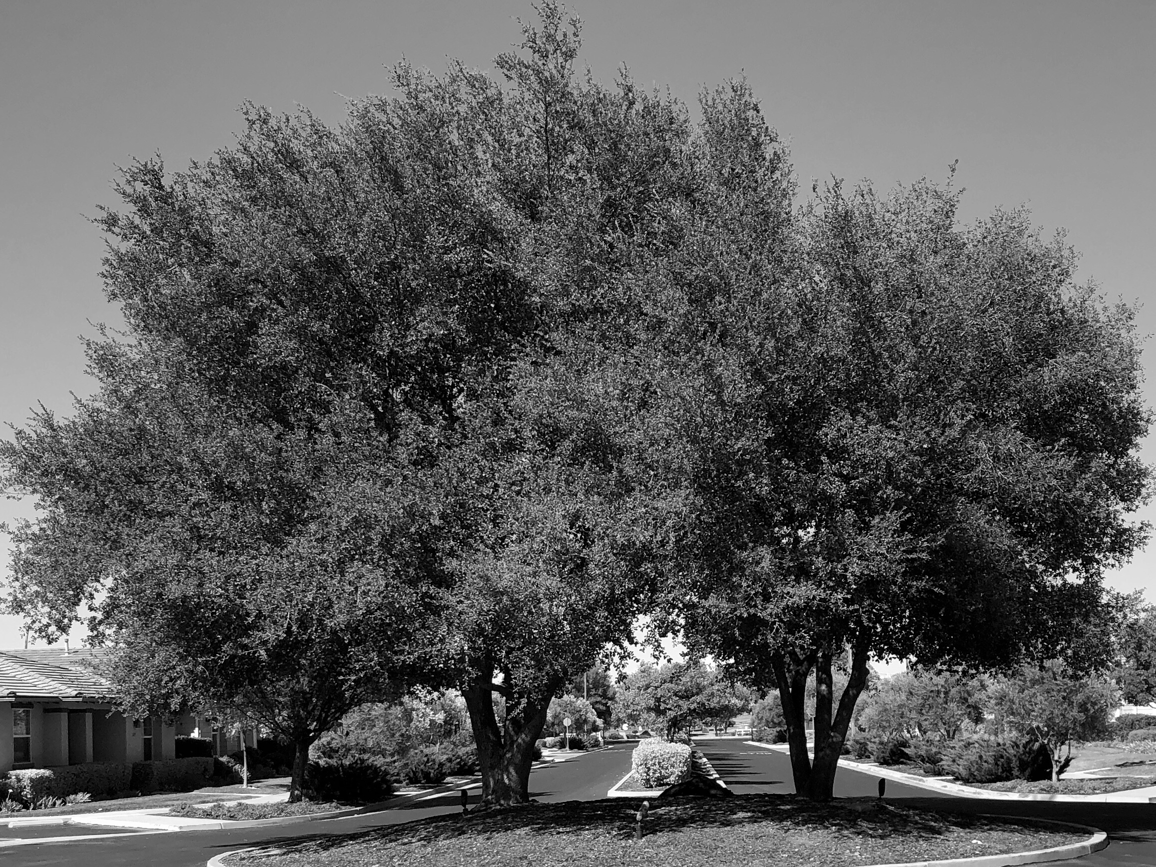 Esplanade.jpg