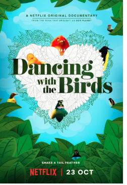 Dancing with the Birds