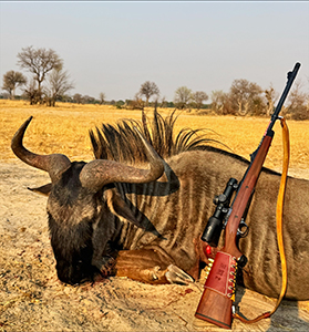 John Hoggatt Widebeest