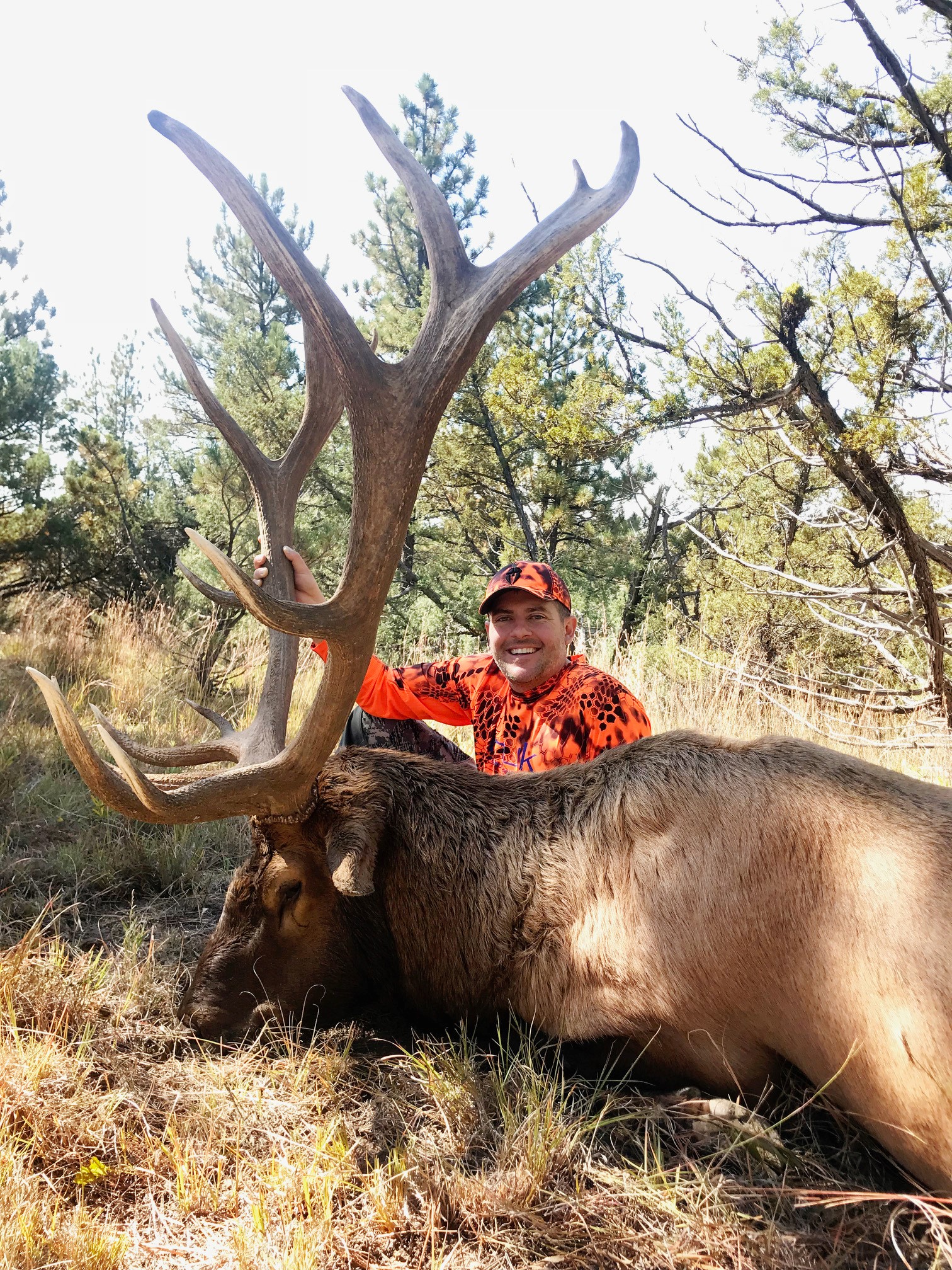 Pete Stout_Board Member