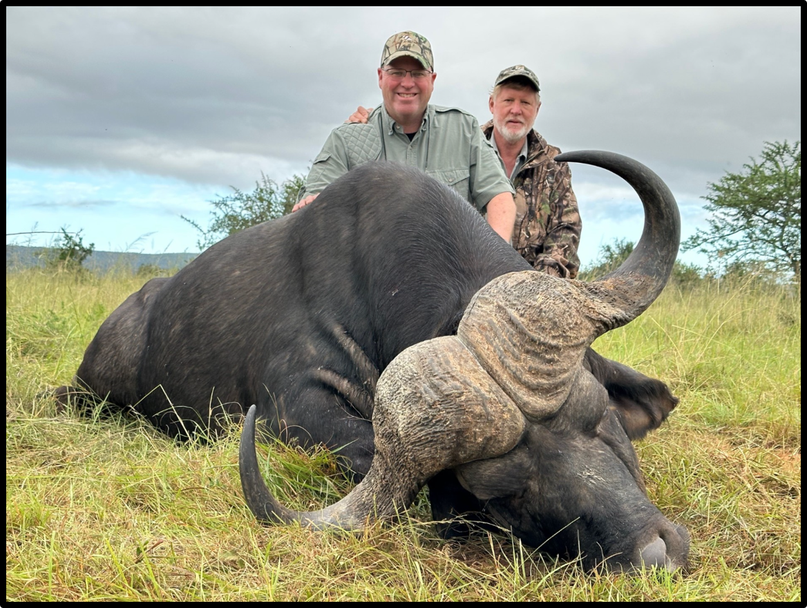 Shane Westcott_Cape Buffalo