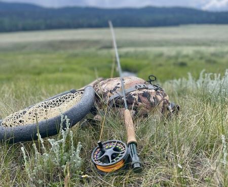 Hooked on Healing Programs Banner