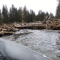The wild character of the Situk River thumbnail