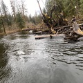 The Situk River in all its beauty thumbnail