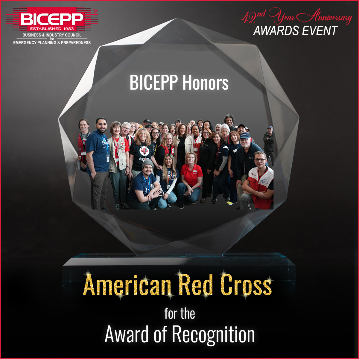 07_America Red Cross-Recognition.jpg