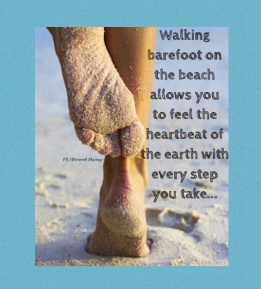 Monday morning Beach Walk Holmes Beach 930am Events BAGS