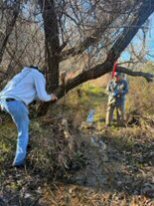 Putah Creek Clean Up 5