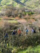 Putah Creek Cleanup 6 