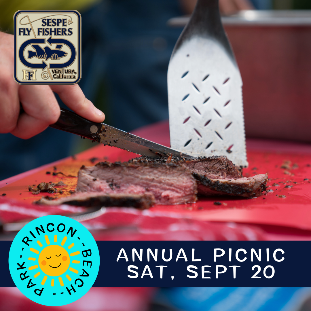 sespe_picnic_1_.png