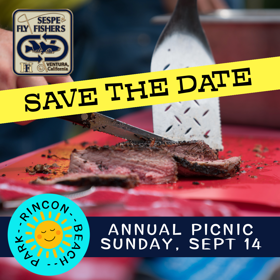 sespe_picnic_2_.png