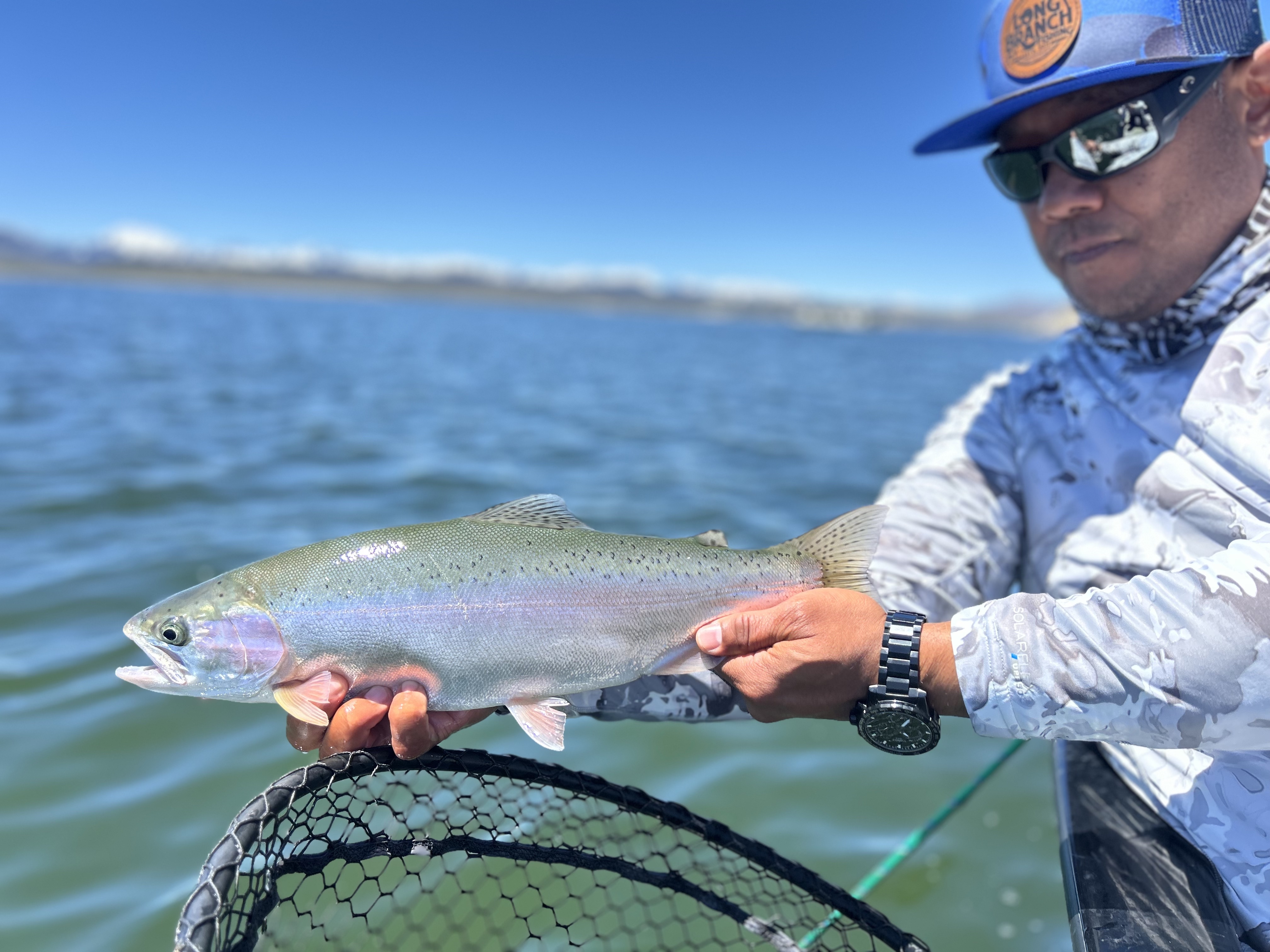 Crowley Lake Chrome Luke Kinney