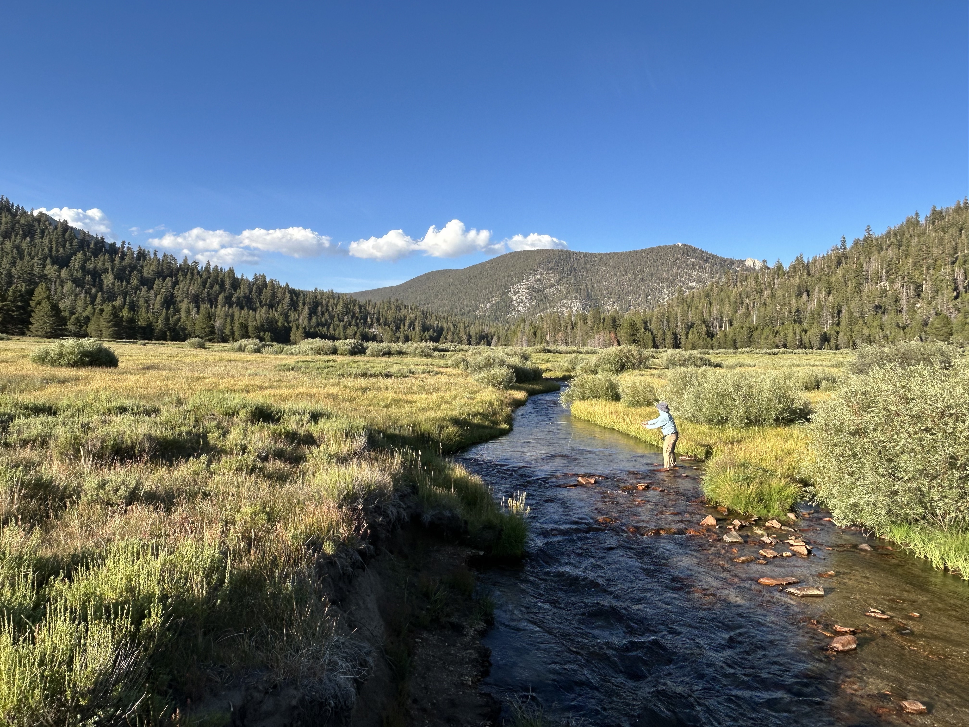 Little Whitney Meadow Luke Kinney