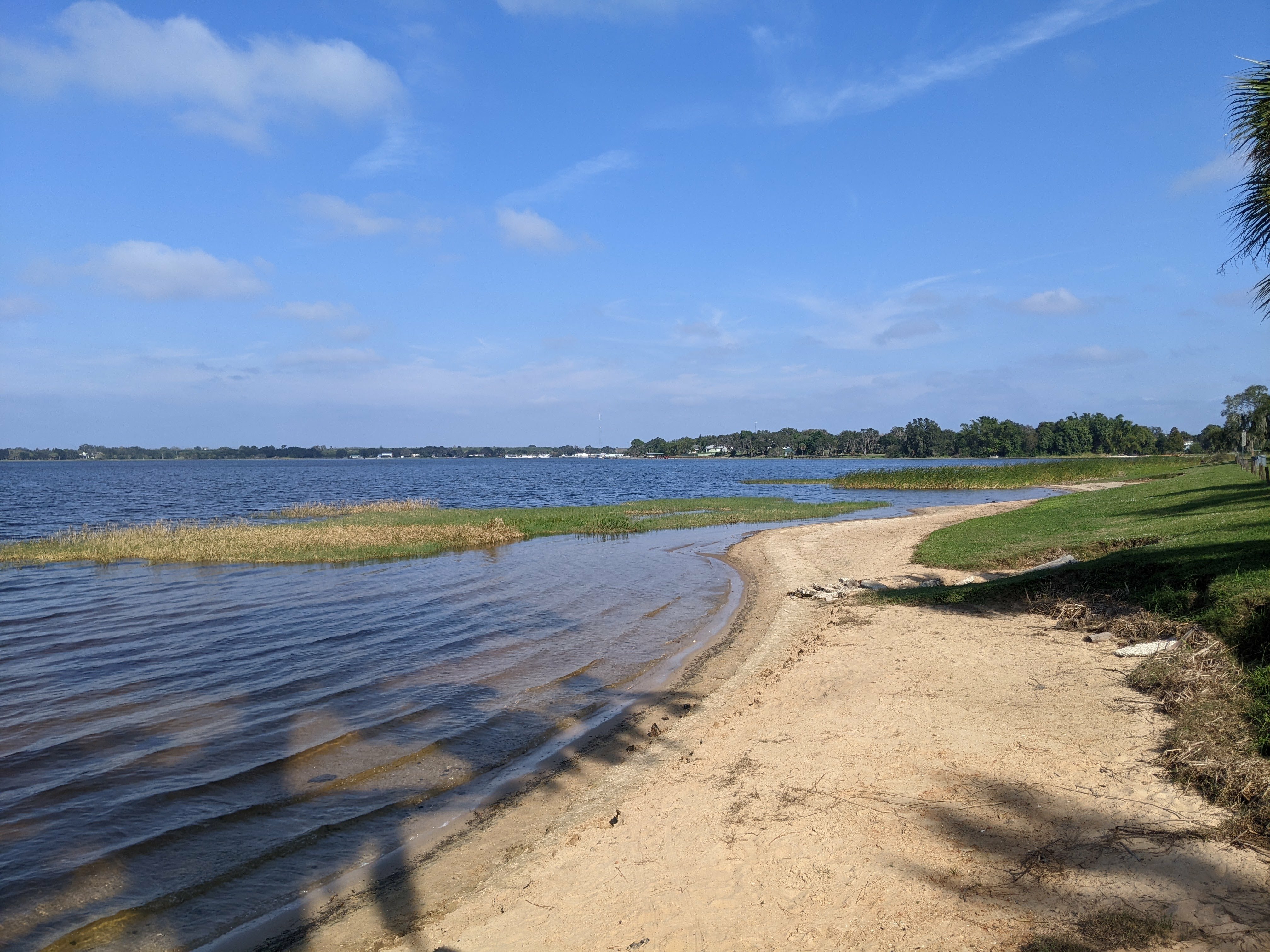 Frostproof Reedy Lake
