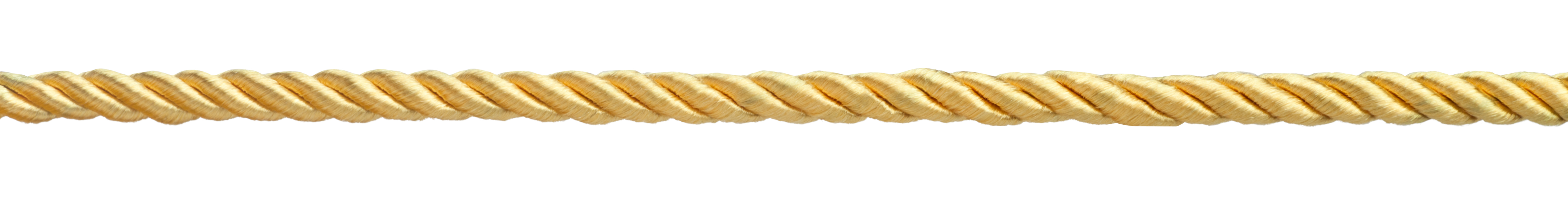 FCA_Gold_Rope.jpg
