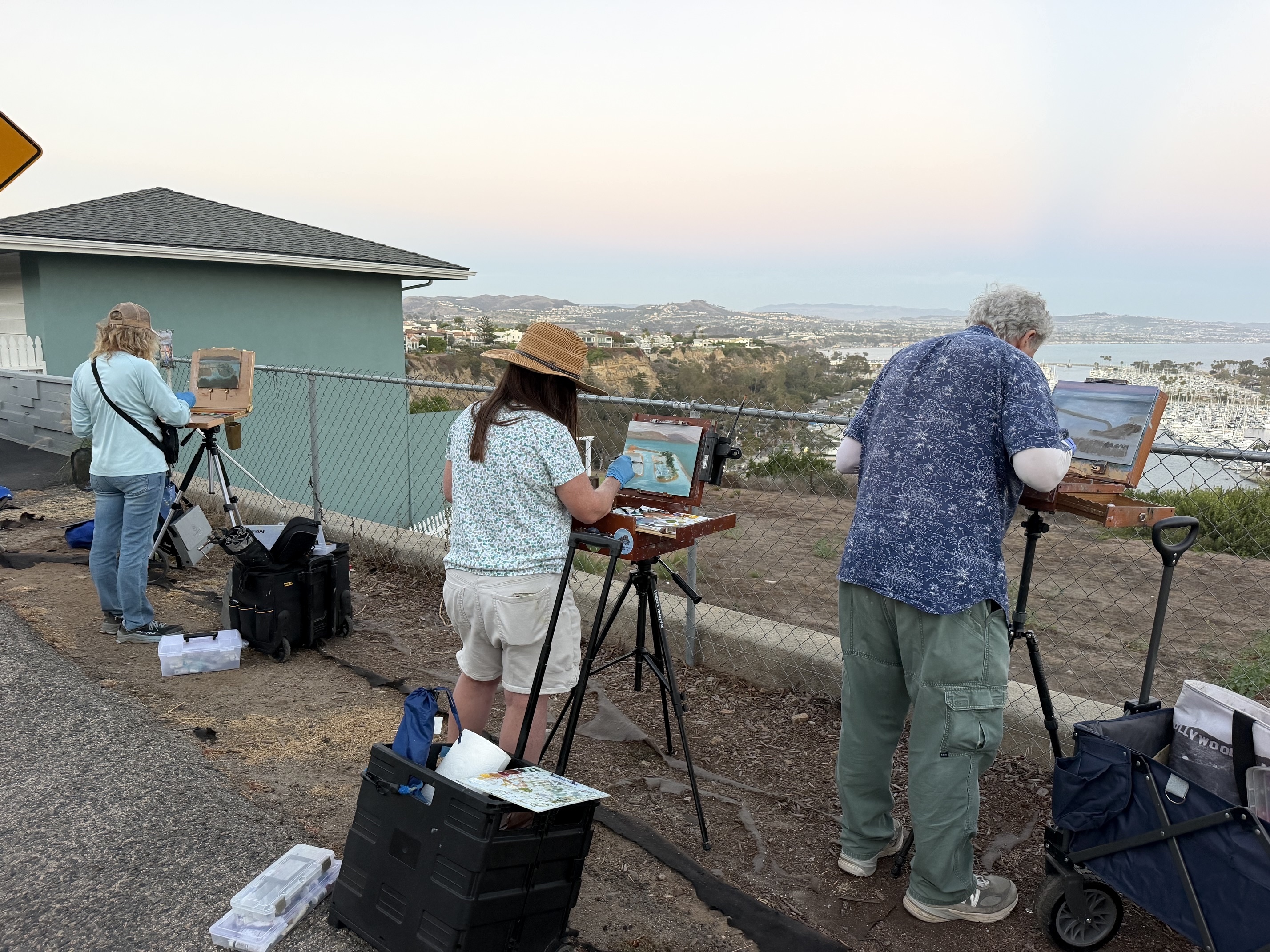DP Paintout