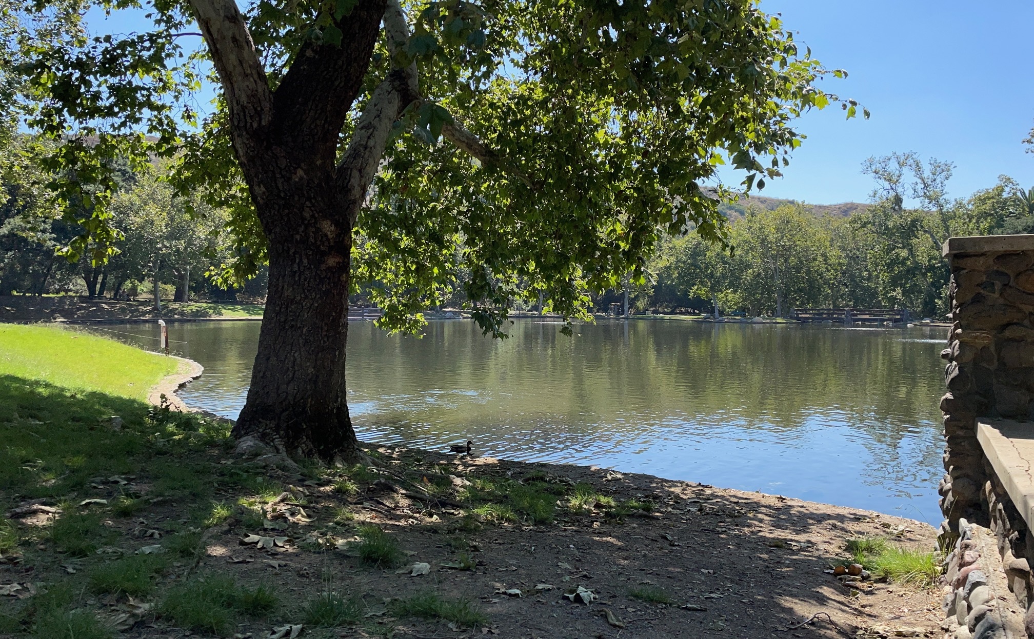 Irvine Regional Park new