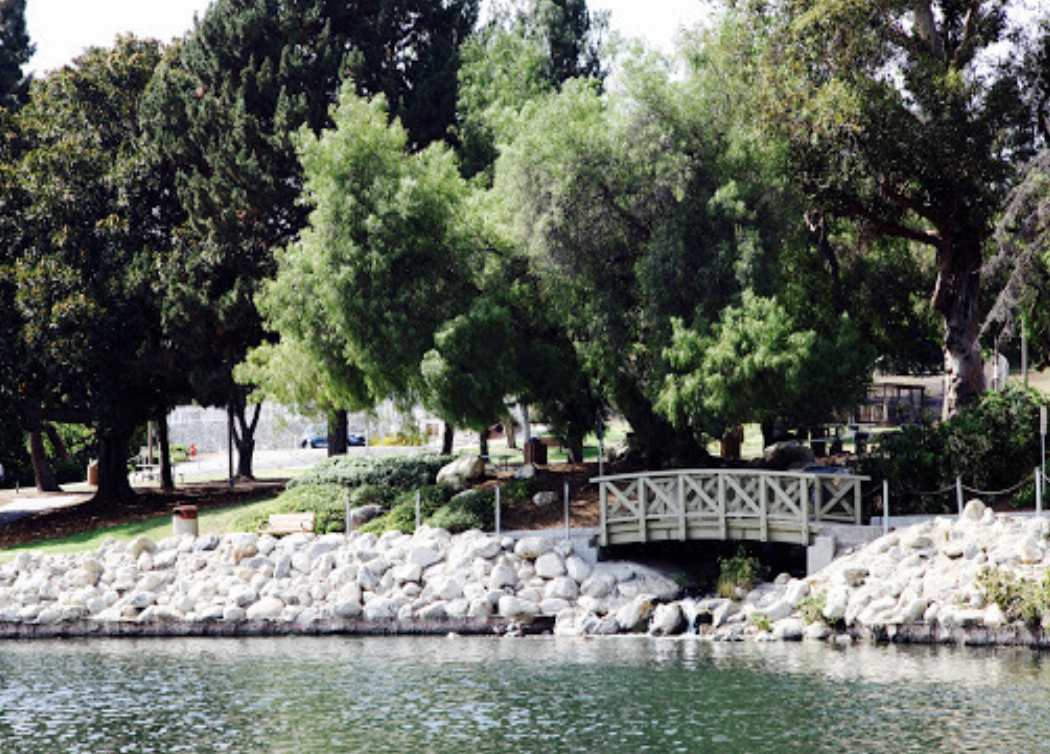 Eisenhower park orange
