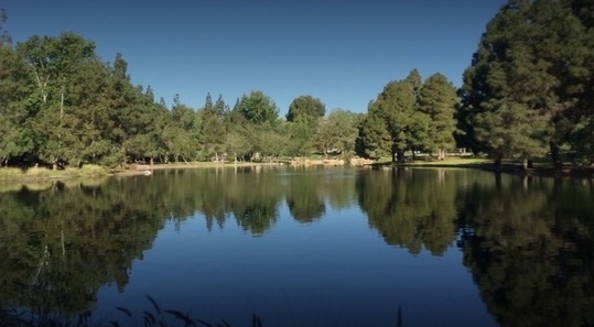 Yorba Park
