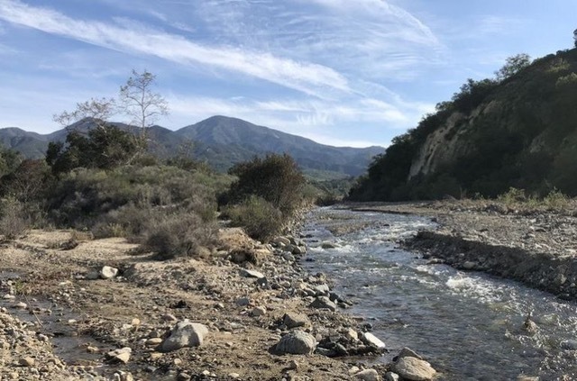 Trabuco Creekbed