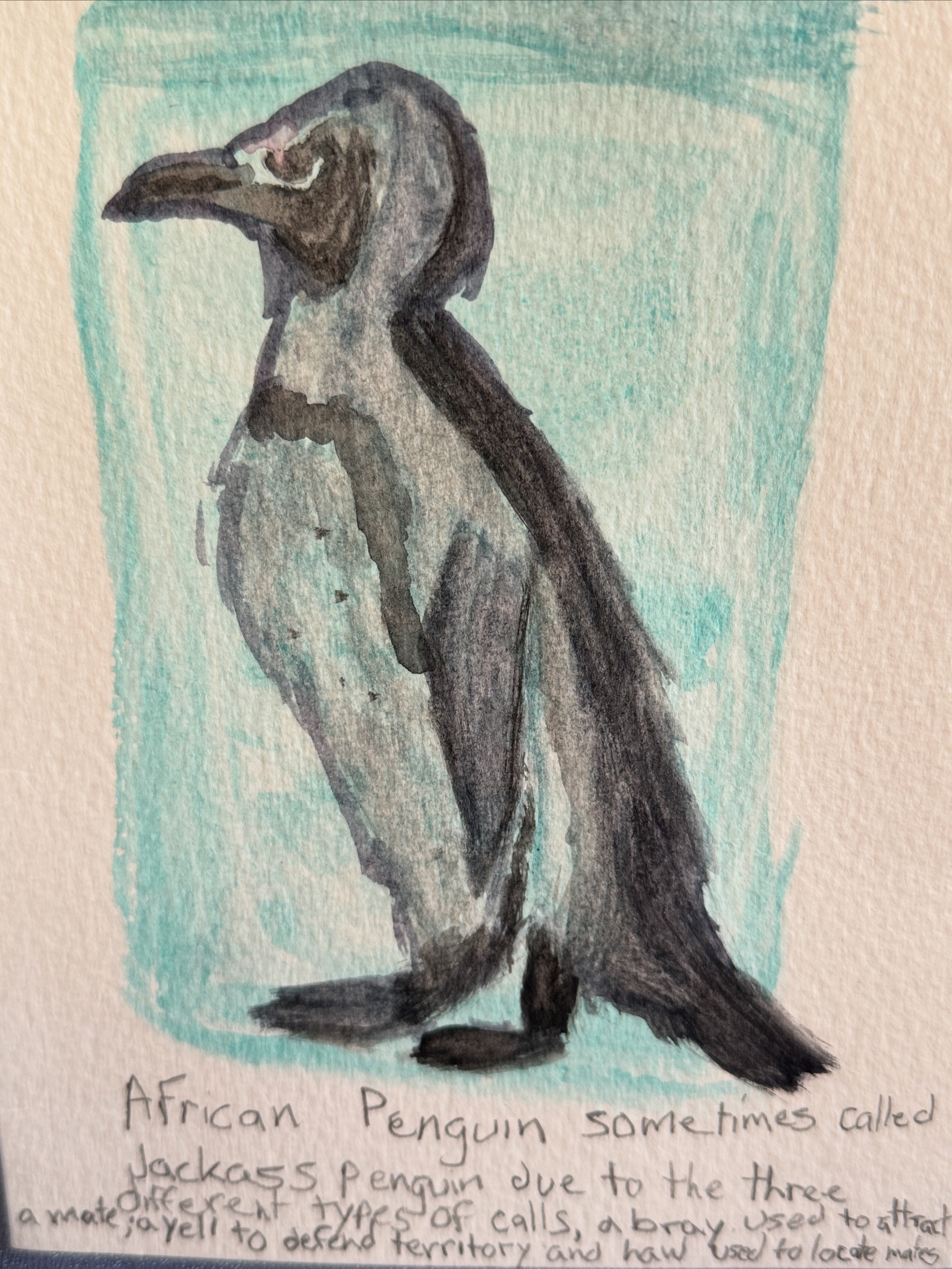 AA766682-5A0F-4F48-80A5-E2B1045697A1