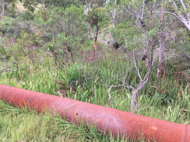 Rusty pipe from October 2023