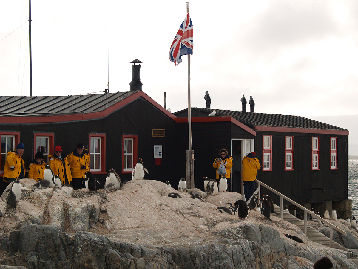 9 PORT LOCKERY AND RESIDENT PENGUINS