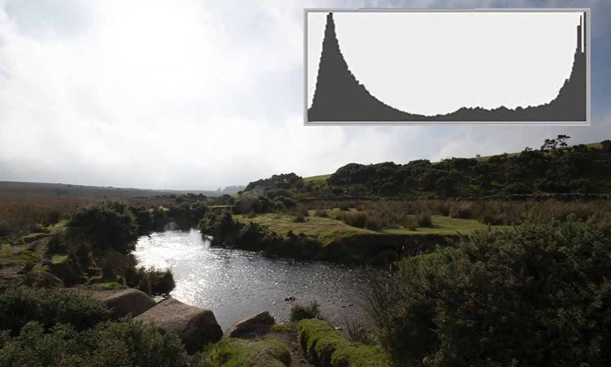 CJ_histogram