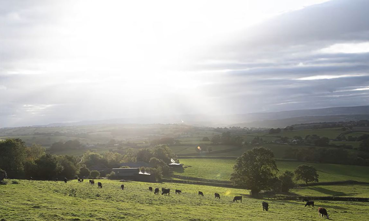 CJ_lens flare2