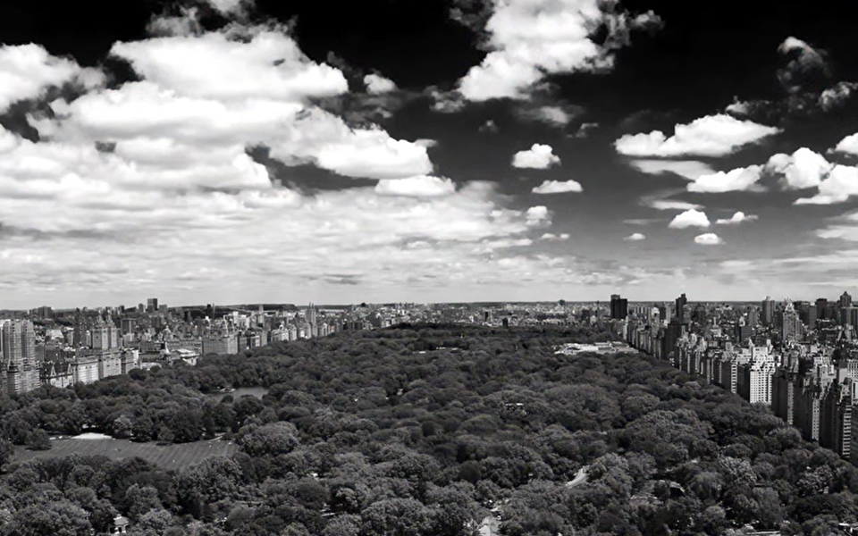 DB_landscape with red filter